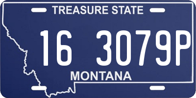 MT license plate 163079P
