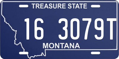 MT license plate 163079T