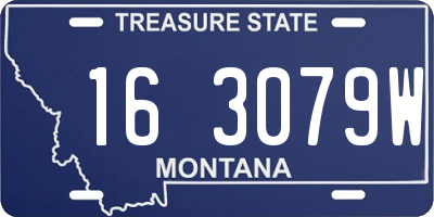 MT license plate 163079W