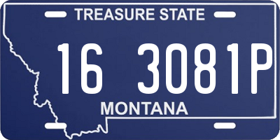 MT license plate 163081P