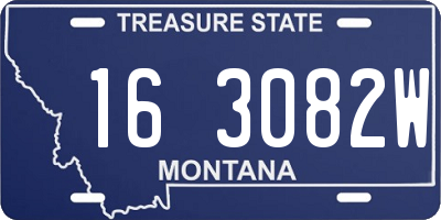 MT license plate 163082W