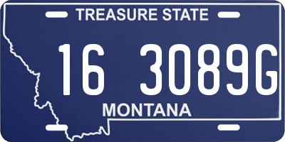 MT license plate 163089G