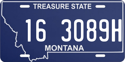 MT license plate 163089H