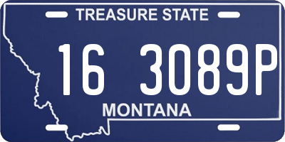 MT license plate 163089P