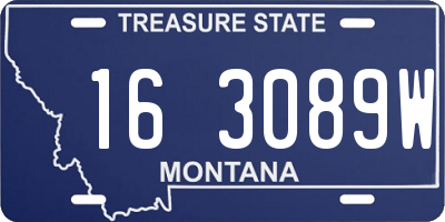 MT license plate 163089W