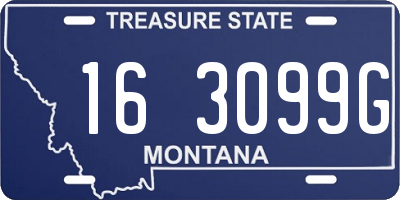 MT license plate 163099G