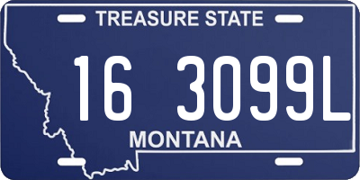 MT license plate 163099L
