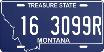 MT license plate 163099R