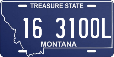 MT license plate 163100L