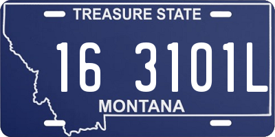 MT license plate 163101L