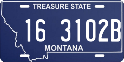 MT license plate 163102B