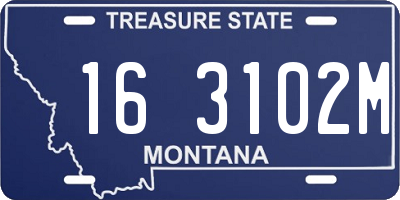 MT license plate 163102M