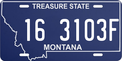 MT license plate 163103F