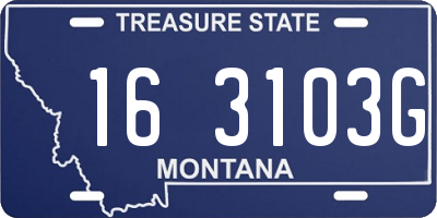 MT license plate 163103G
