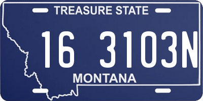 MT license plate 163103N