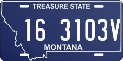 MT license plate 163103V
