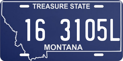 MT license plate 163105L