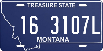 MT license plate 163107L
