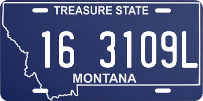 MT license plate 163109L
