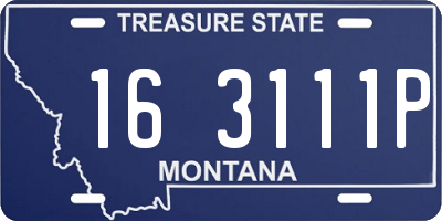 MT license plate 163111P