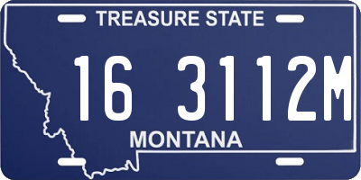 MT license plate 163112M