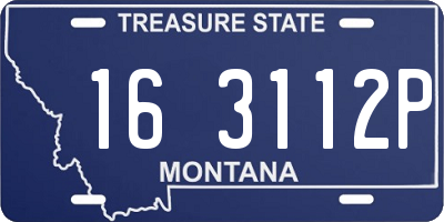 MT license plate 163112P