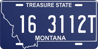 MT license plate 163112T