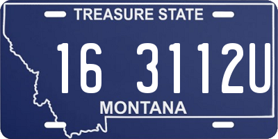 MT license plate 163112U