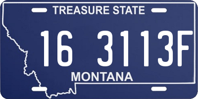 MT license plate 163113F