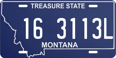 MT license plate 163113L