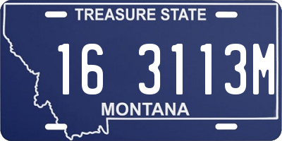 MT license plate 163113M