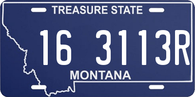 MT license plate 163113R