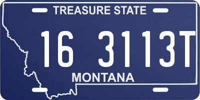 MT license plate 163113T