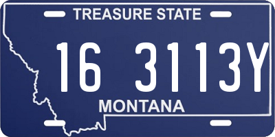 MT license plate 163113Y