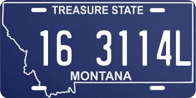MT license plate 163114L