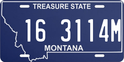 MT license plate 163114M