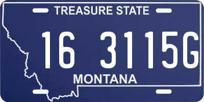 MT license plate 163115G