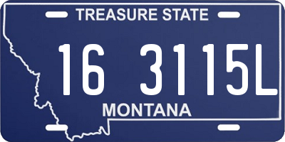 MT license plate 163115L