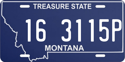 MT license plate 163115P