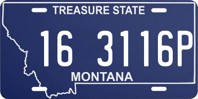 MT license plate 163116P
