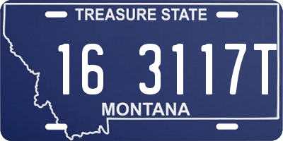 MT license plate 163117T
