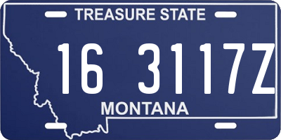 MT license plate 163117Z