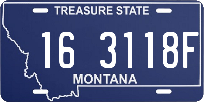 MT license plate 163118F