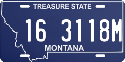 MT license plate 163118M