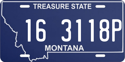 MT license plate 163118P