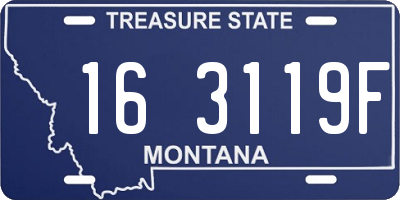 MT license plate 163119F