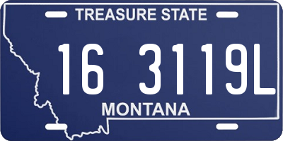 MT license plate 163119L