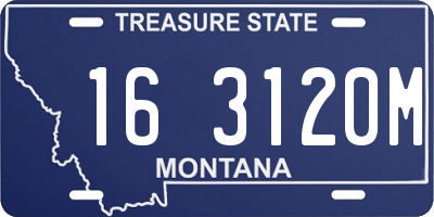 MT license plate 163120M