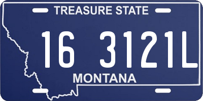MT license plate 163121L