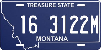 MT license plate 163122M
